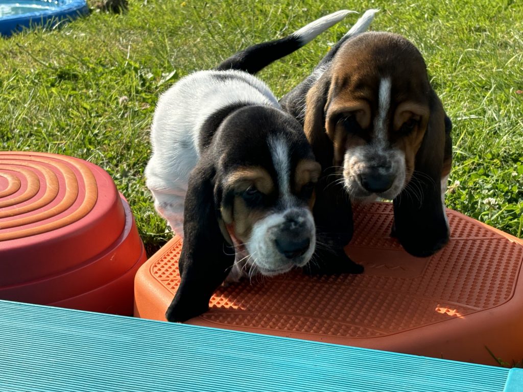 Play Time